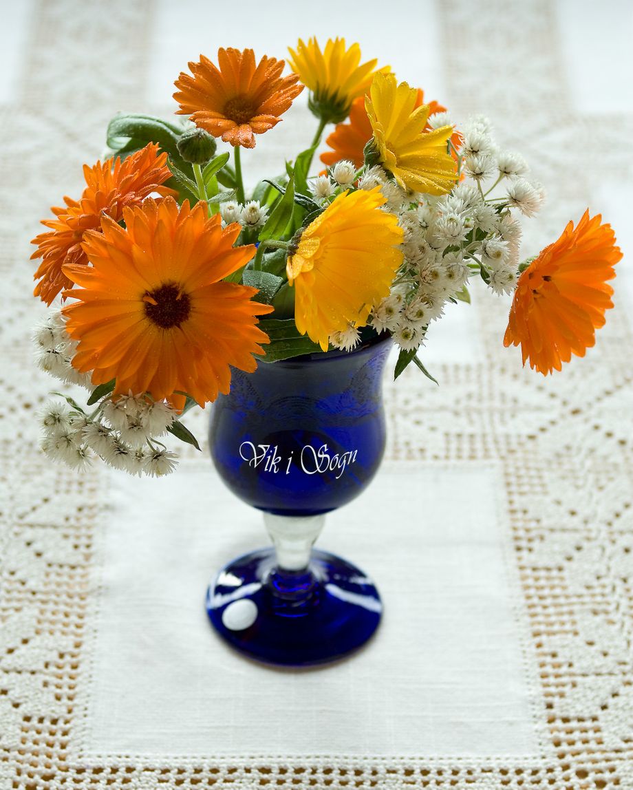 Ringblomster i blå vase - Flowers in a blue vase
Foto-