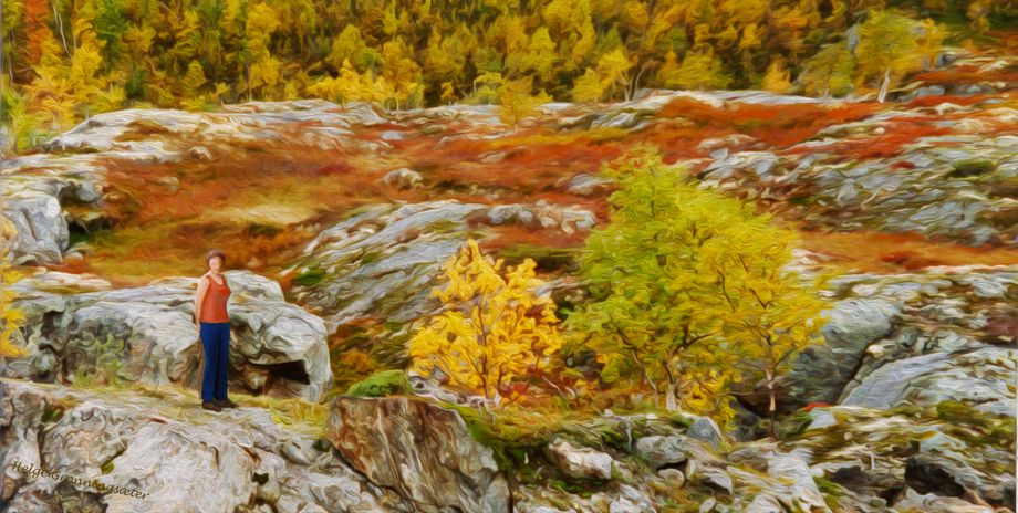 Haust (natur nær Maristuen i Lærdal) - Autumn (nature near Maristuen in Lærdal in Sogn)
