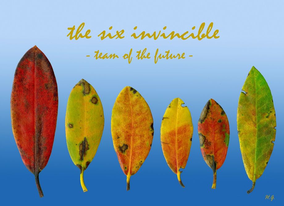 Dei seks uovervinnelege - The six invincible